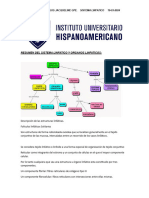 Resumen Del Sistema Linfatico y Organos Linfaticos