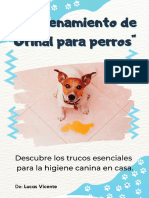 Entrenamiento de Orinal para Perros