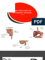 Tipos Funcionales de Movimientos Intestinal