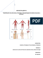 Identificacion de Estructuras Fisiologia y Fisiopatologia Del Sistema Muscular y Nervioso