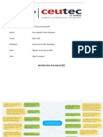 Mapa Conceptual