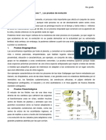 Lectura Pruebas de La Evolucion