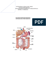 Taller Nº 3 motilidad del tubo digestivo QF 2023 