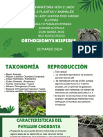 A3 - Orthogeomys Hispidus - Basulto Rosales, Chávez Kú, Euán Barea, Ruz Koyoc - Eq - 20240322 - 063346 - 0000