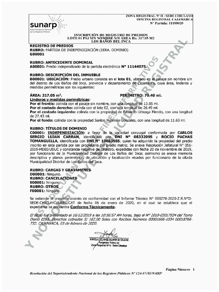 Partida Electrónica 11188020 | PDF