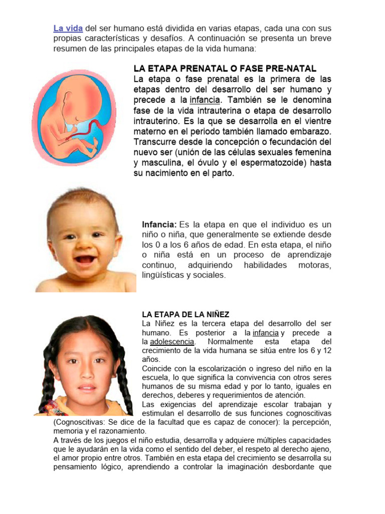 Etapas del Desarrollo Humano | PDF | Adultos | Vejez