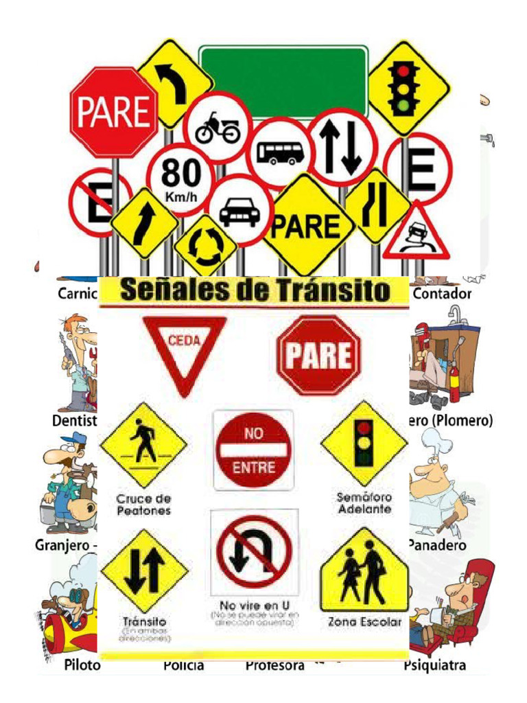Transito | PDF