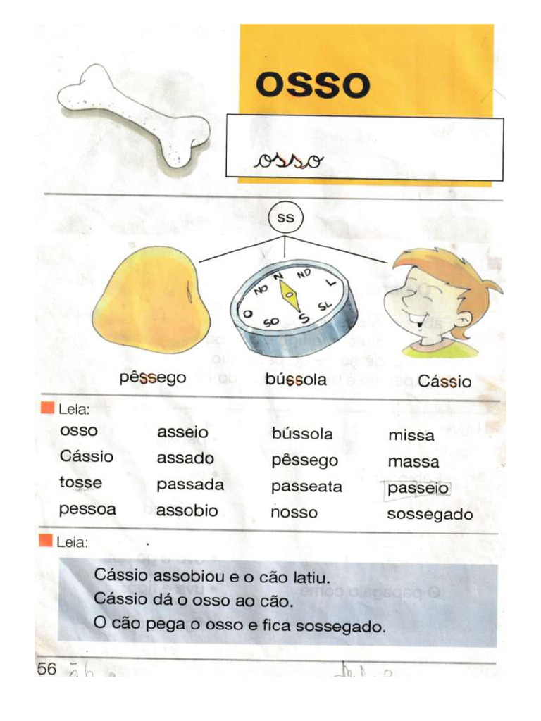 56 Osso Pdf