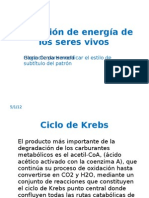 Obtención de energía de los seres vivos