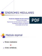 Sindromes Medulares MEDICINA