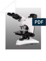 Microscope Pour Des Échantillons Épais