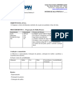 Pratica - Leite Modificada