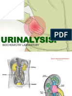 URINALYSIS