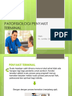 Penyakit Terminal-1