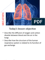 g8 Breathing System