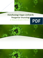 Histologi Organ Limfoid