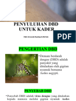 PENYULUHAN DBD U KADER by AR