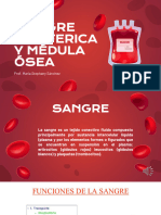 Sangre Periferica y Médula Ósea