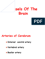 Vessels of Brain