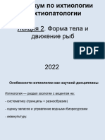 Ихтиология - 2022 - Форма тела и движение рыб