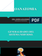 Neuro - Generalidades Del Sistema Nervioso.