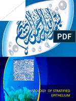 Stratified Epithelium Histology Lecture