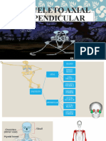 Esqueleto Axial y Apendicular