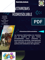 Expo Vitaminas Hidrosolubles