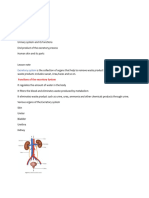 Excretory System