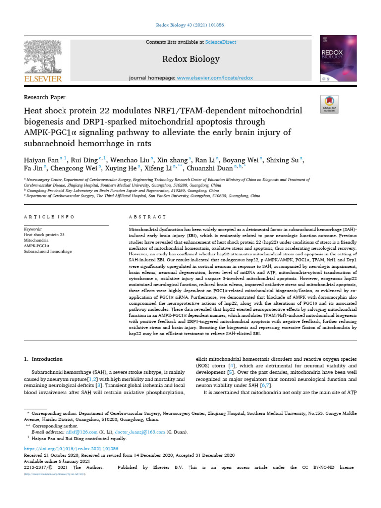 TFAM | PDF | Mitochondrion | Reactive Oxygen Species