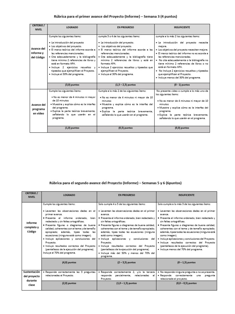 r-brica-del-proyecto-2024-1-total-pdf