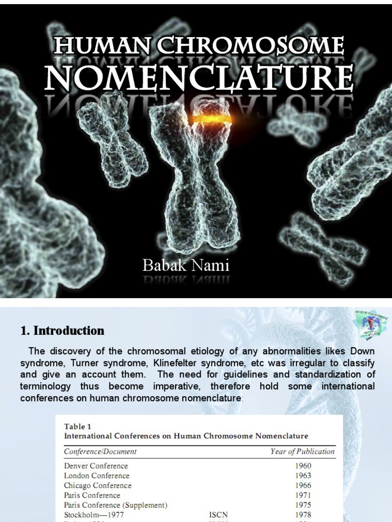 Human Chromosome Nomenclature | Karyotype | Chromosome