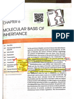 Molecular Basis of Inheritance Ncert Mar20240317105333704