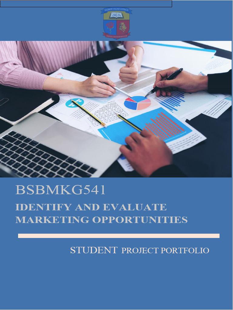 BSBMKG541 Project Portfolio V2.0 | PDF | Return On Investment | Economies