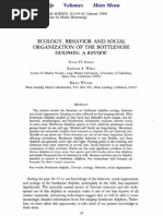 Download Shane et al by api-3828346 SN7162981 doc pdf