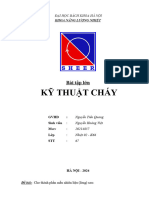 BTL-KTC-Nguyễn Hoàng Việt