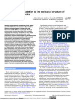 Human Sensory Adaptation To The Ecological Structure of Environmental Statistics