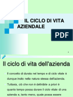 Ciclo Vita Aziende