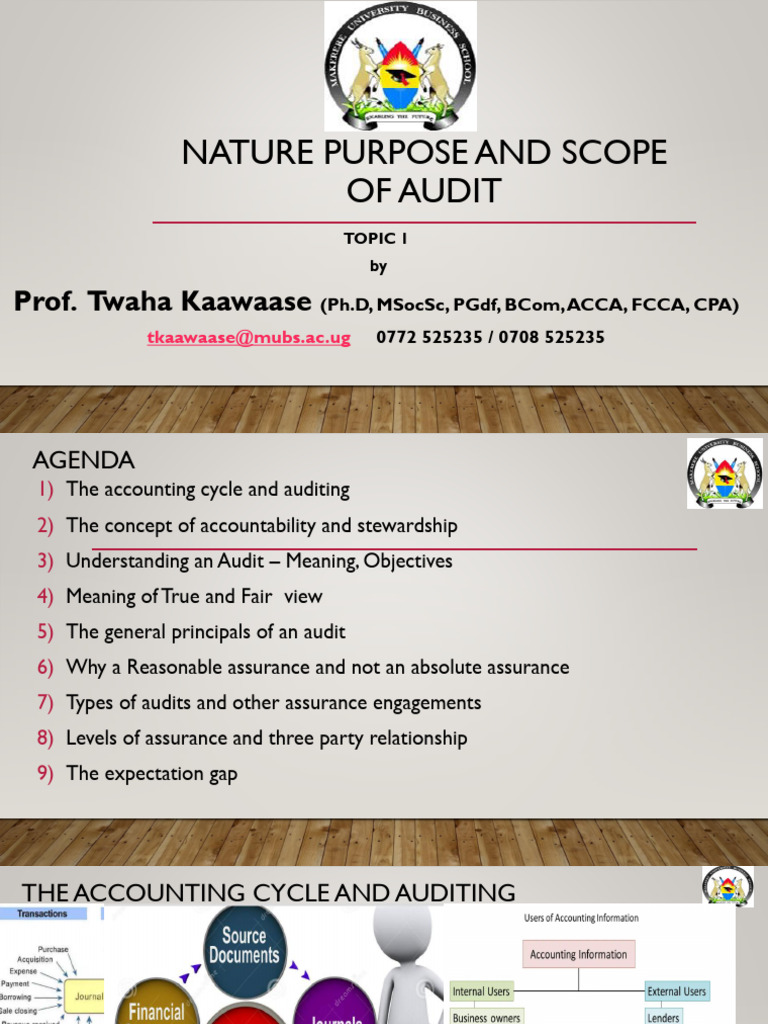 Understanding Audit Purpose and Scope | PDF | Audit | Financial Statement