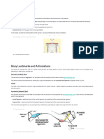 Ana211 osteology of the clavicle