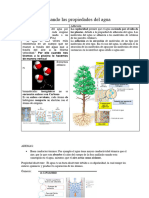 Repasando Las Propiedades Del Agua