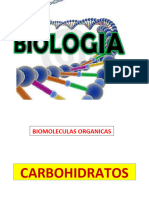 Caracteristicas de Los Seres. Carbohidratos y Lipidos 2023