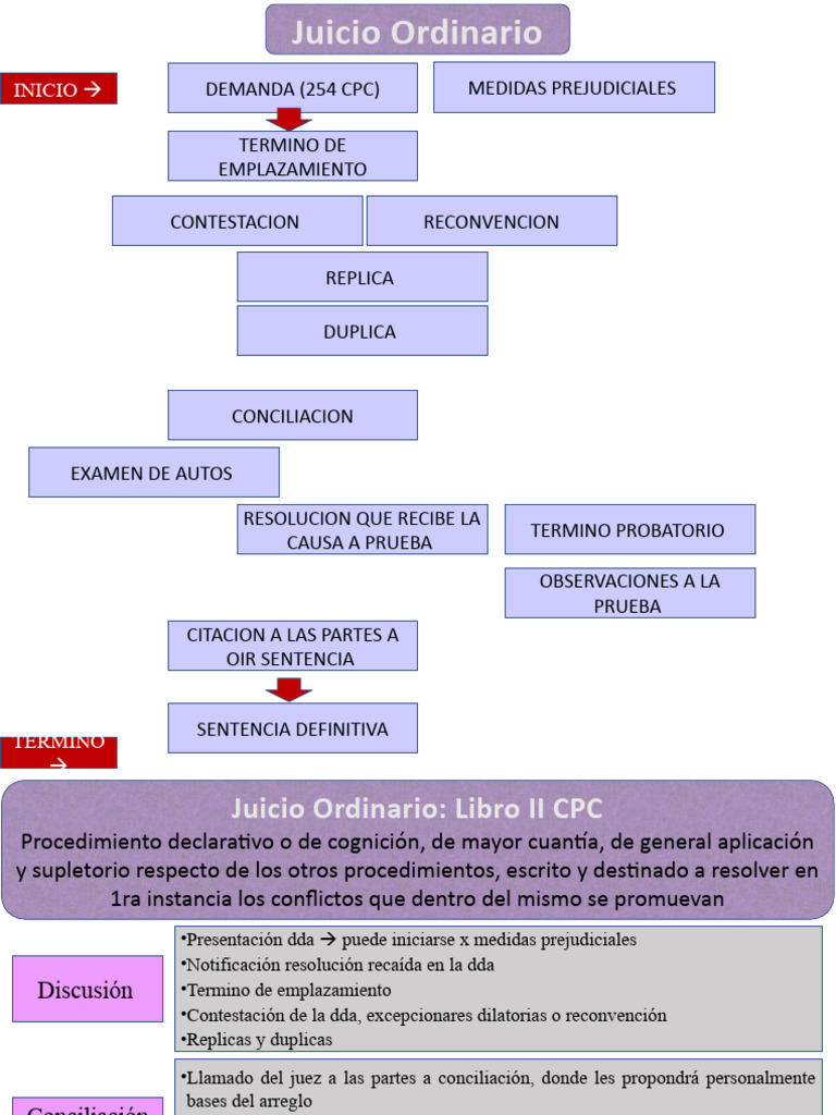 Juicio Ordinario | PDF | Sentencia (ley) | Demanda judicial