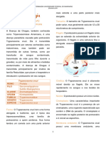 Parasitologia - Doença de Chagas - Resumo