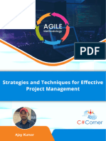 Agile Methodology Strategies and Techniques For Effective Project Management