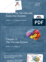 Unit A - The Nervous and Endocrine Systems