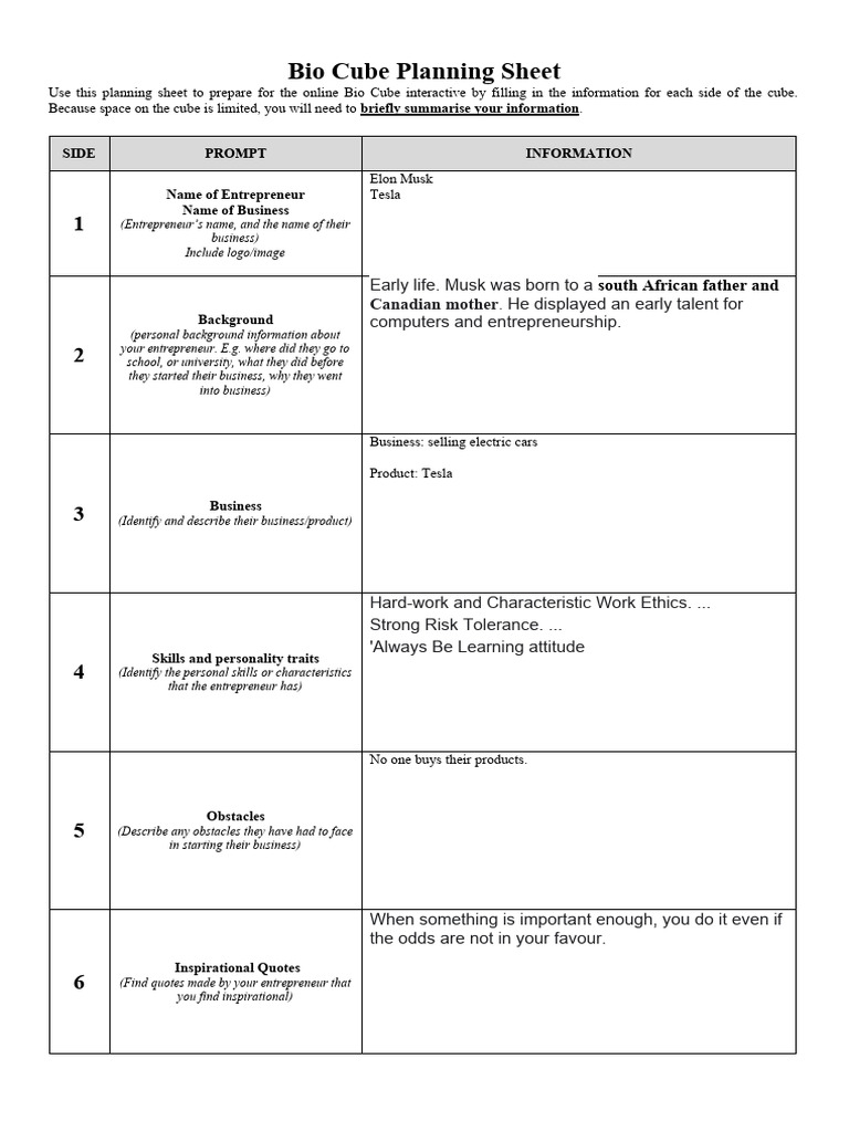 07b Entrepreneur Bio Cube Planning Sheet PDF Entrepreneurship