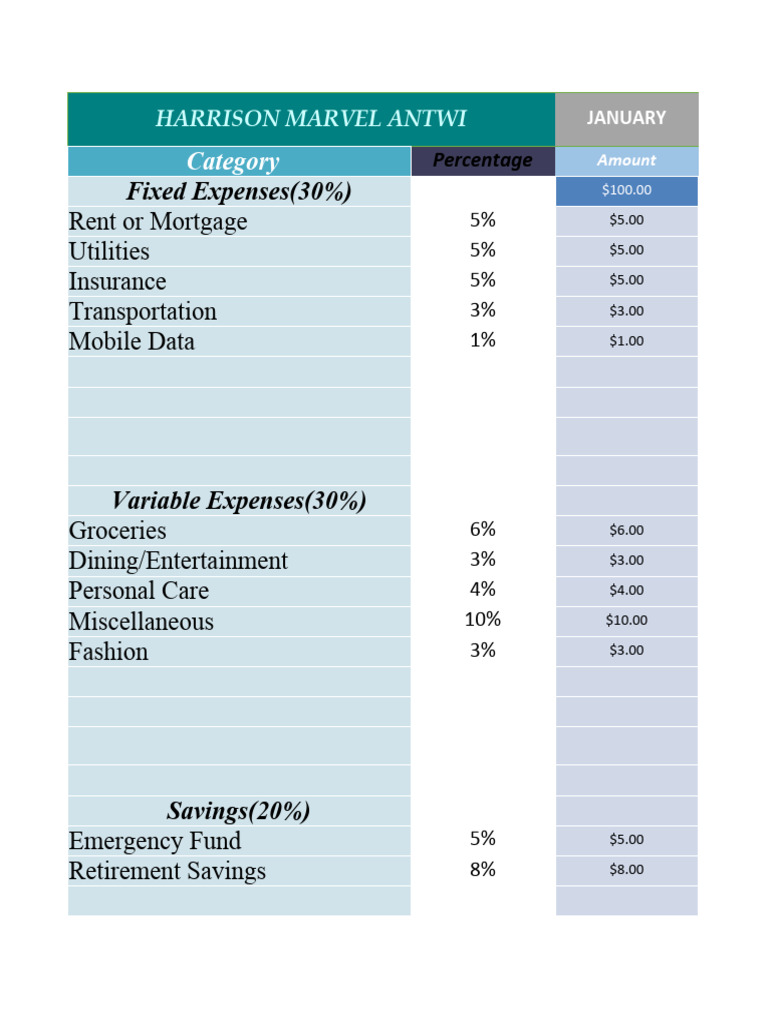 Monthly Expenses | PDF | Debt | Private Sector