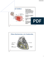 Estructura y Función Del Sistema Cardiovascular, Parte II.