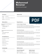 Professional CV Resume